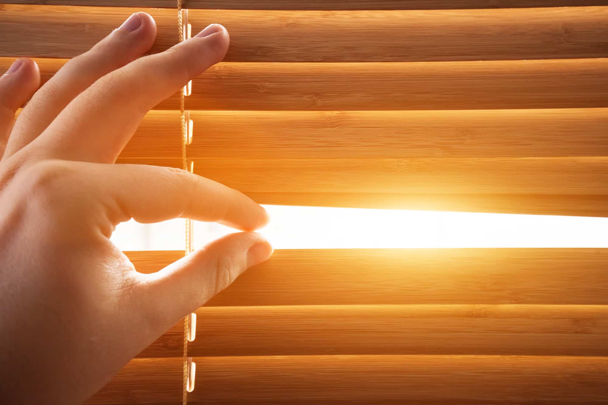 types of window shades
