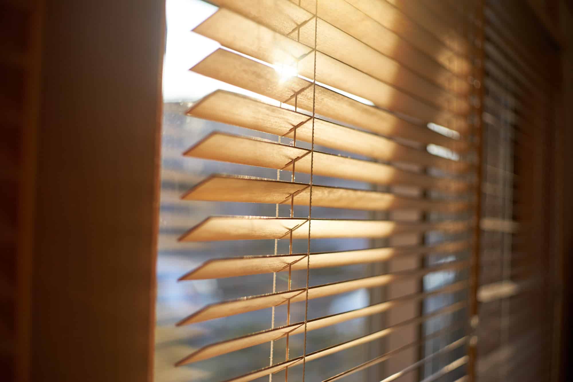 window blinds