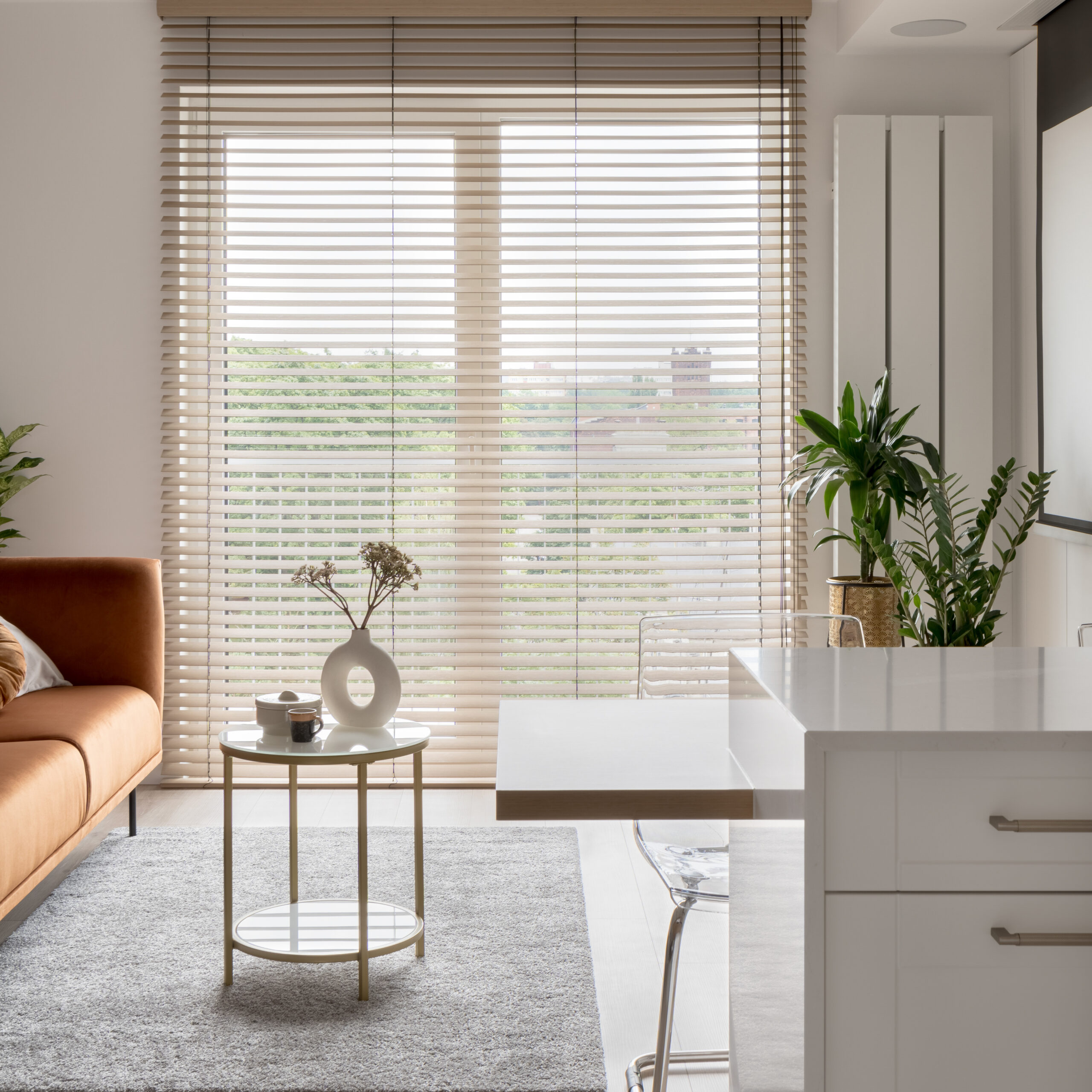 Best Coverings for French Doors